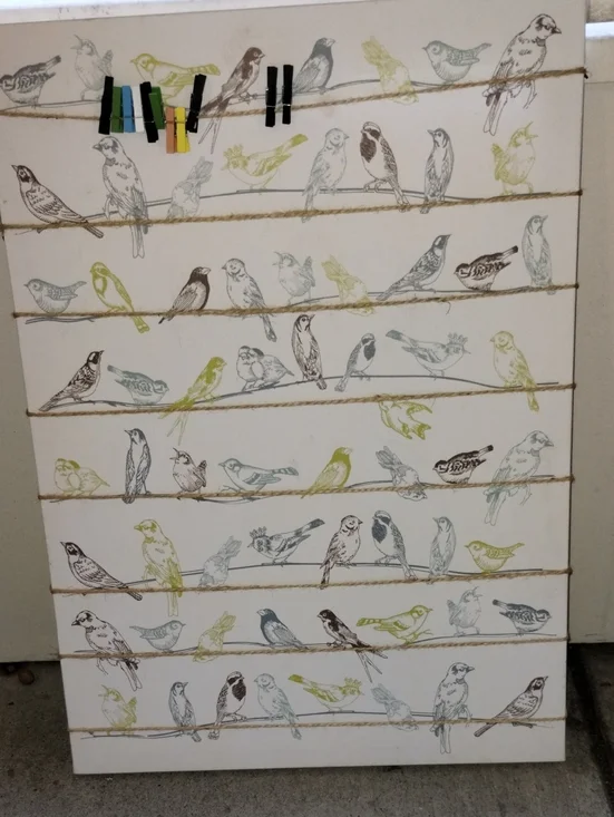IKEA Birds Wall Organizer with Clothespin Clips