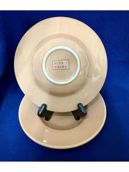 Rare! Pier 1 China Wide Rim Bowls Set of 2 Soup Pasta 9