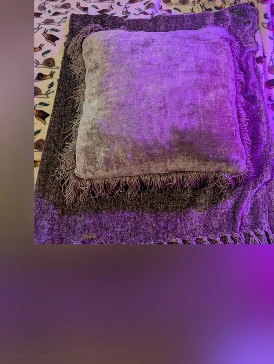 Pier 1 Imports Plush Velvet Fringe Throw Blanket With  Pillow in Bronze/Tan