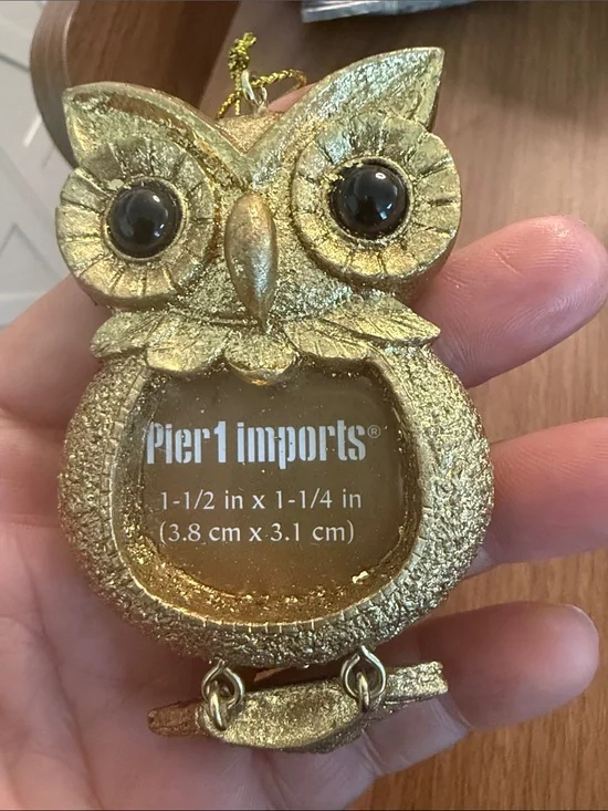 Pier 1 Gold Owl Hanging Frame Ornament with Tassel