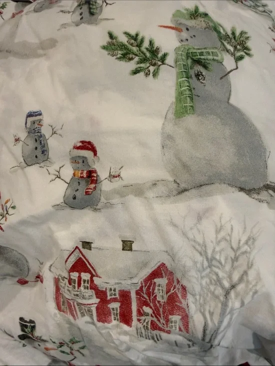 Pottery Barn Cotton Queen Sheet Set  Print Holiday Flat fitted 2 Pillowcases