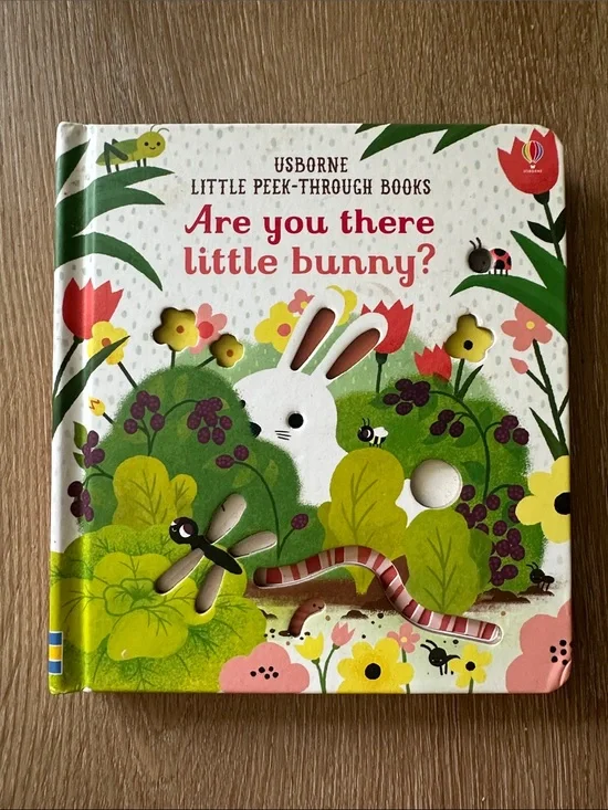 Usborne Are You There Little Bunny? Peak Thru Board Book