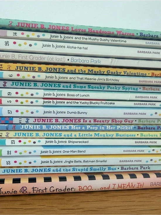 Childrens Junior Collection of over 30 Books