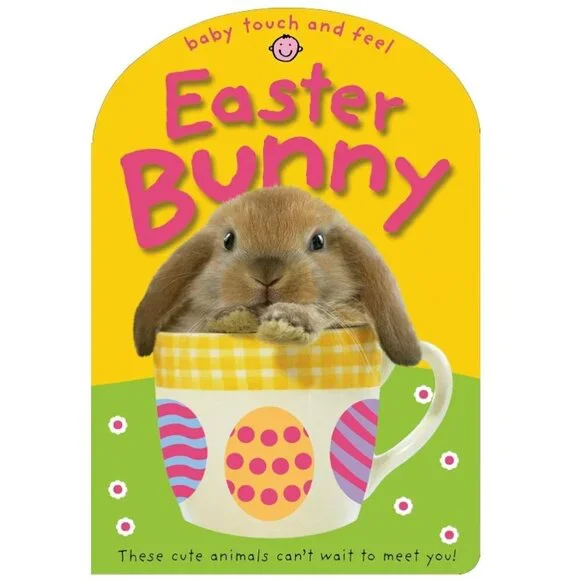 Easter Bunny Baby Touch and Feel Board book