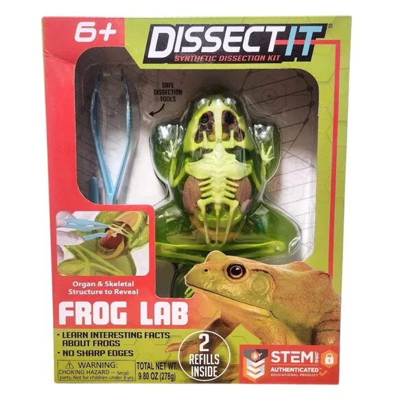 NEW Dissect-it Synthetic Lab Dissection Toy STEM KIT CRAFT Project Frog Biology