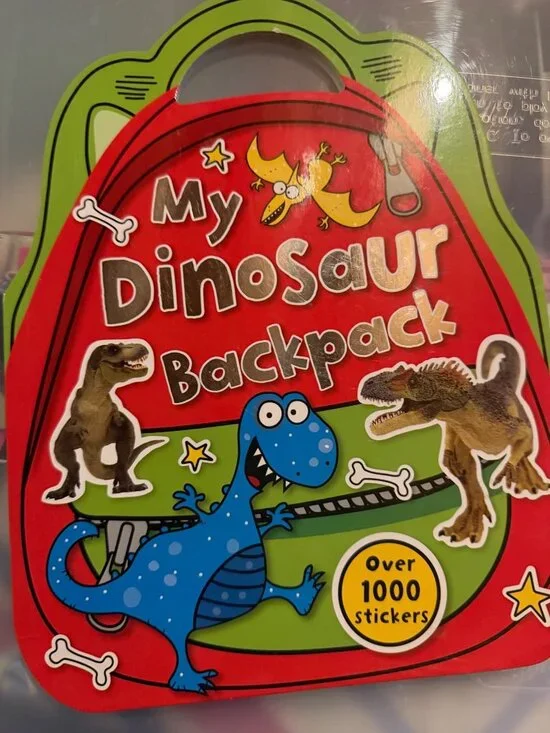 NEW dinosaur activity book