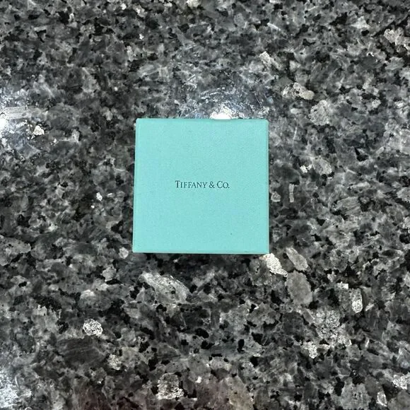 Tiffany & Co Blue Gift Small Travel Pouch Empty Box 3.75