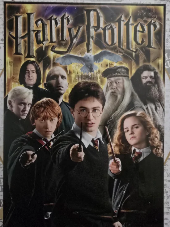 Harry Potter Movie Poster - Black, Gold, White