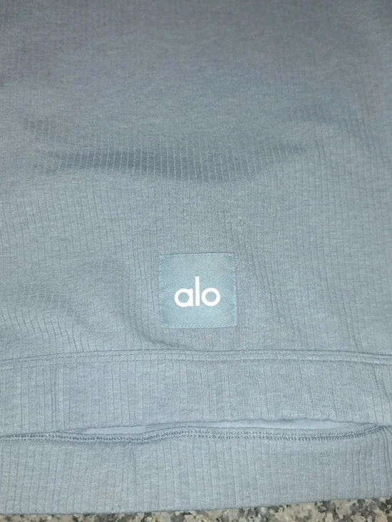 ALO Yoga Grey Ribbed Crop Top