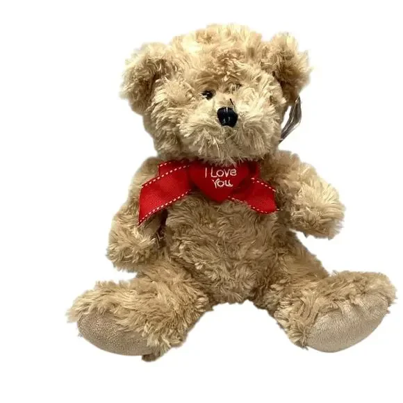 Valentine Teddy Bear