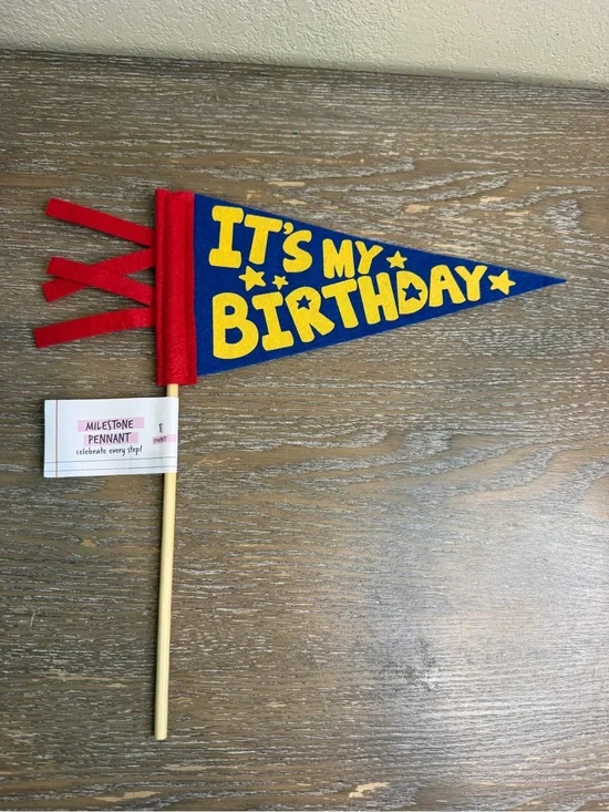 2026 Target Bullseye Playground “It’s My Birthday” Felt Pennant Flag, New!