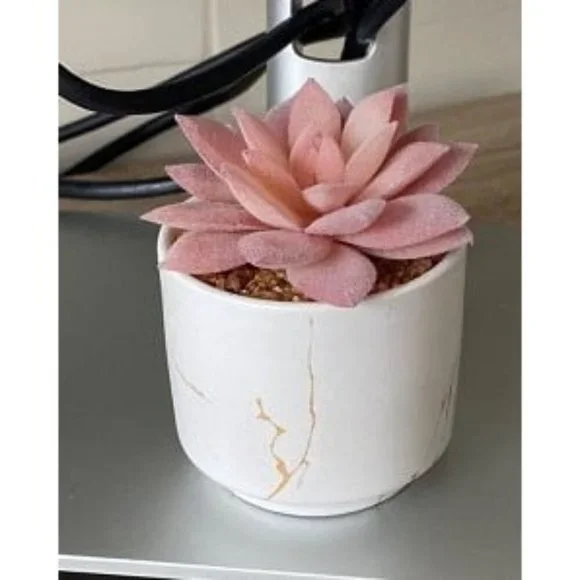 New Succulent Artificial Plants,Cute Fake Succulents in 1 Pink Ceramic Pots
