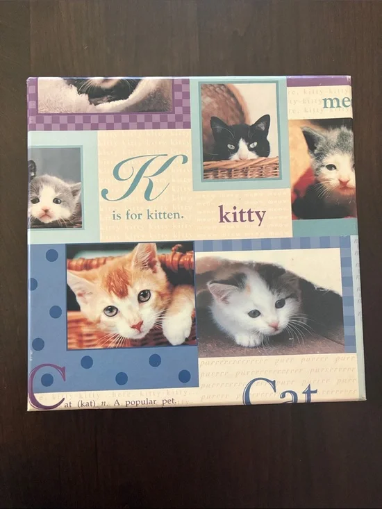 Kitty Cat Decorative Storage Box - Blue and Purple