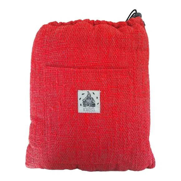 Padded Protective Home Storage/ Travel Bag