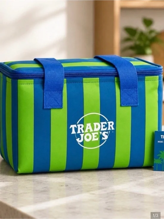 Trader Joe's Blue & Green Striped Mini Insulated Cooler Bag