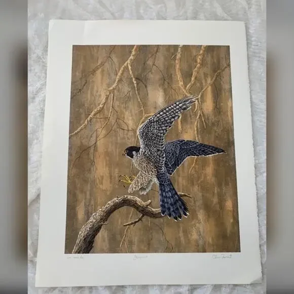 - Chris Forrest VINTAGE Lithograph ‘Perigrine 1980