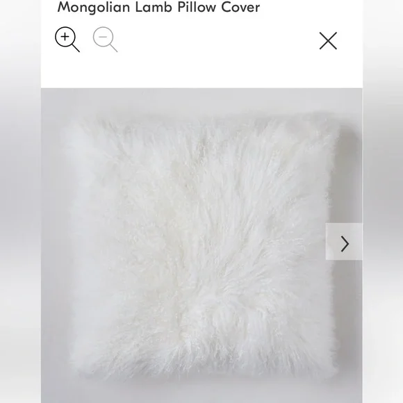 West Elm Mongolian Sheep Pillow Cover (2)