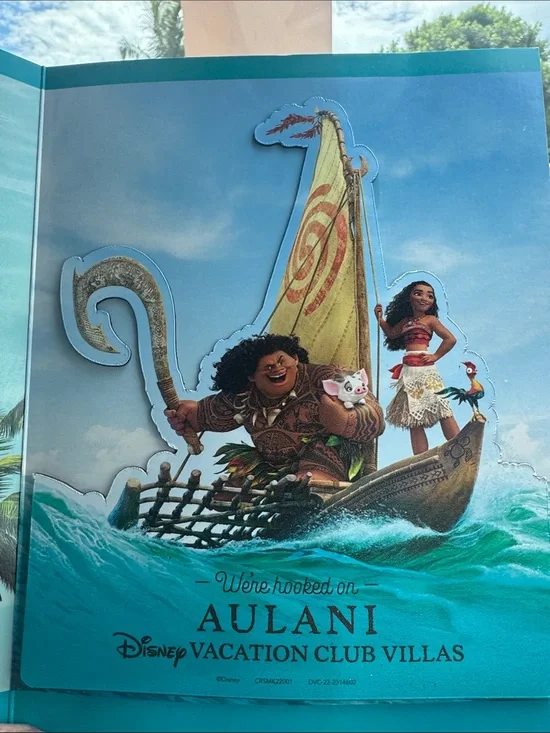 Disney DVC Moana & Maui Boat Magnet