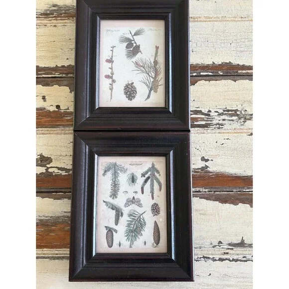Two Small Decorative Botanical Pine Tree & Cone Prints in Wood Frames