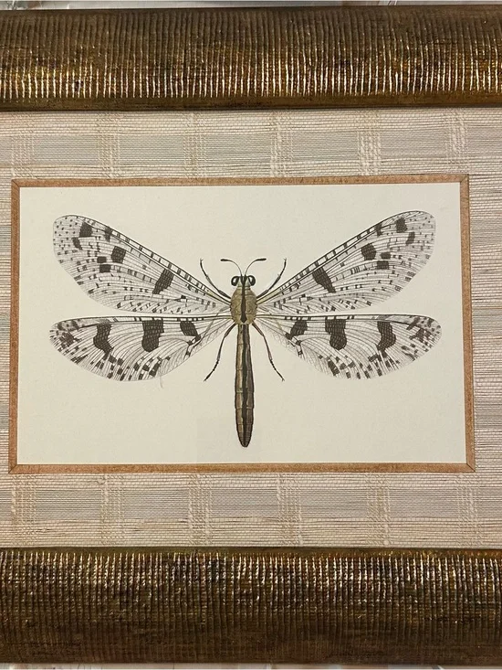 Framed Dragonfly Wall Art in Gold and Brown