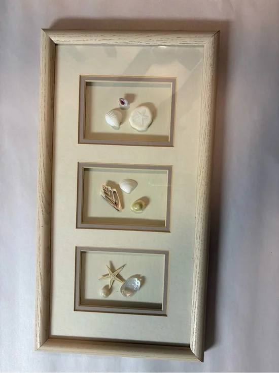 Coastal Triptych Seashell Shadowbox - Cream Framed Beach Art