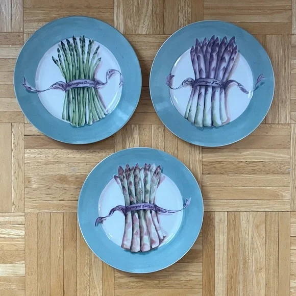 Williams-Sonoma  3 asparagus  themed 9 inch plates with aqua rim EUC