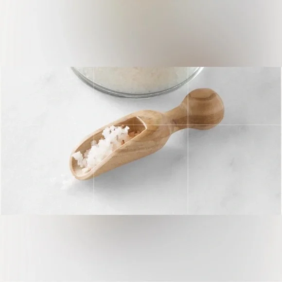 Williams Sonoma Jean dubost Olive Wood salt spice Scoop