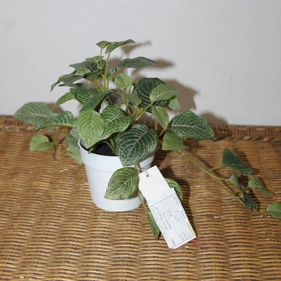 Williams Sonoma Artificial Potted Mosaic Leaf Plant.