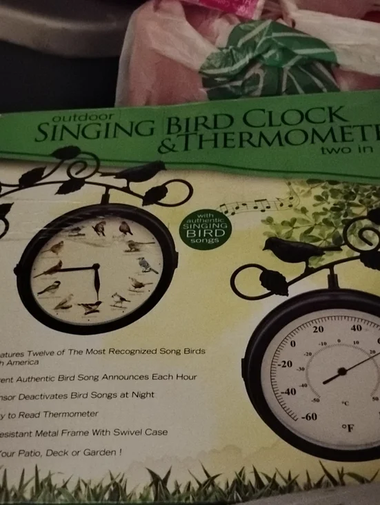 Outdoor Singing Bird Clock & Thermometer - Black
