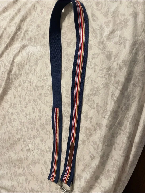 Ralph Lauren Polo Jeans Navy Webbing Belt Rainbow Stripe and Brown Leather Trim