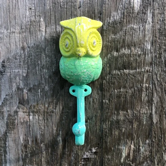 Upcycled Green and Blue Cast Iron Owl Hook