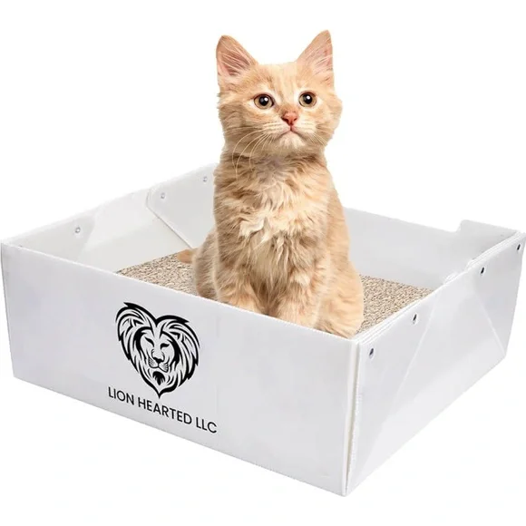 Disposable litter box