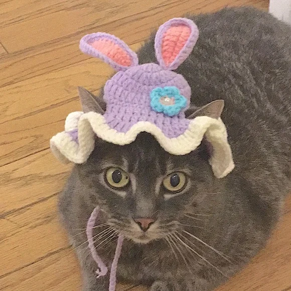 Crochet cat hat bunny themed with adorable flower and tie at the bottom