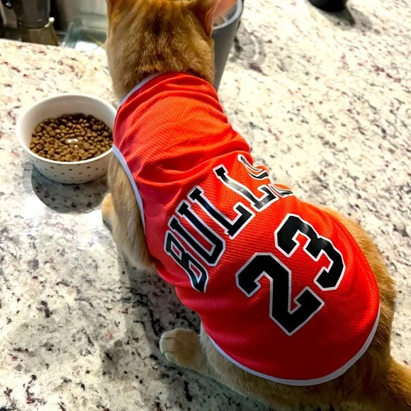 Cat Clothing