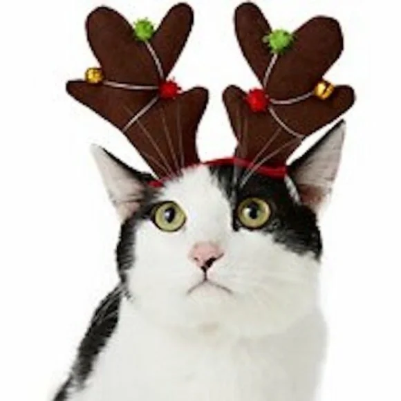 Simply Pet Holiday Reindeer Bell Antlers Christmas Ferret Cat Rabbit T Cup Dog