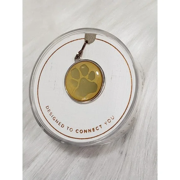NEW  Alex‎ and Ani PAW PRINT DOG CAT ANIMAL Silver Chain Station pendant charm
