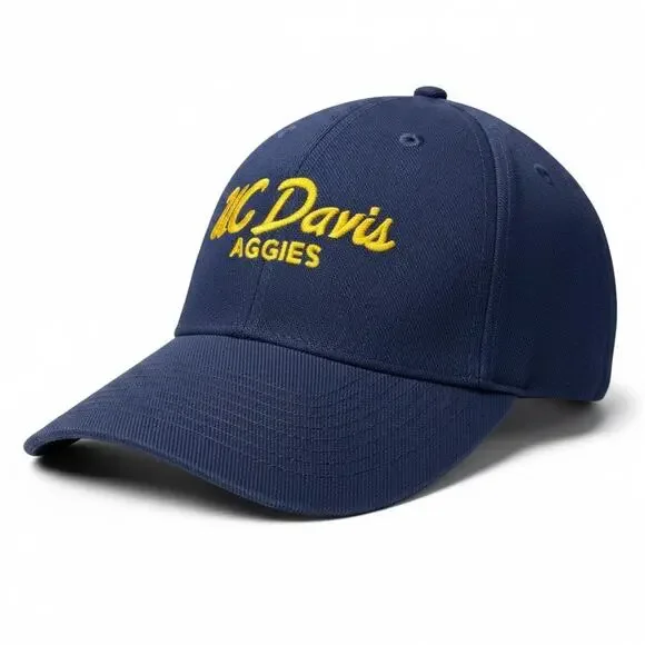 UC Davis Aggies Strapback Hat Cap Blue Yellow Rare Italics Legacy Football