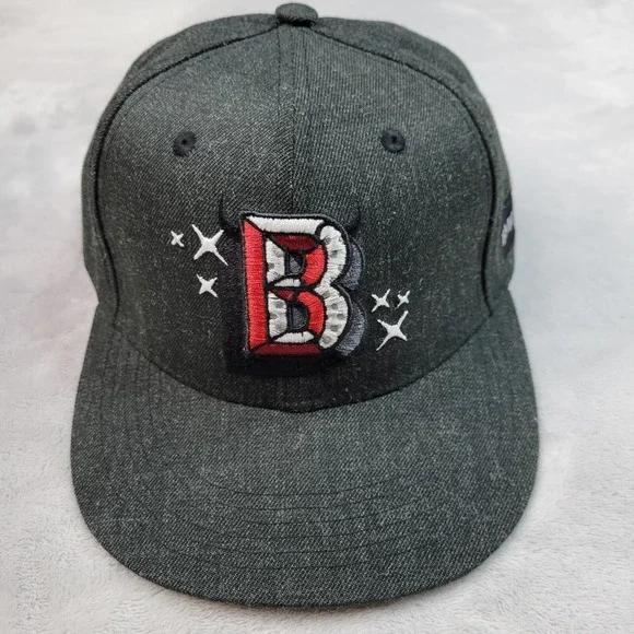 Chicago Bulls Hat Cap Mens Grey Charcoal Snapback Logo Artist Series Miss Merlot