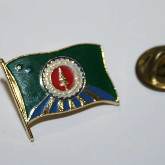 🟢🏞️ Gold + Green County of Saginaw Flag Lapel Pin · 7/8
