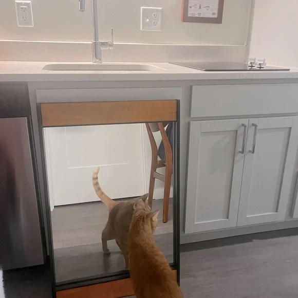 New mirror