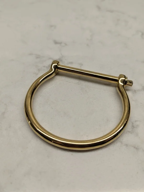 Elegatto Polished Gold Toned Bracelet
