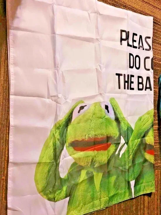 new KERMIT THE FROG MEME TAPESTRY please don't do coke in the bathroom
