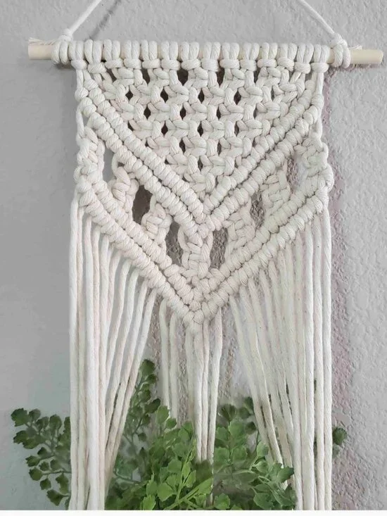 Original Macrame Wall Plant Hanger
