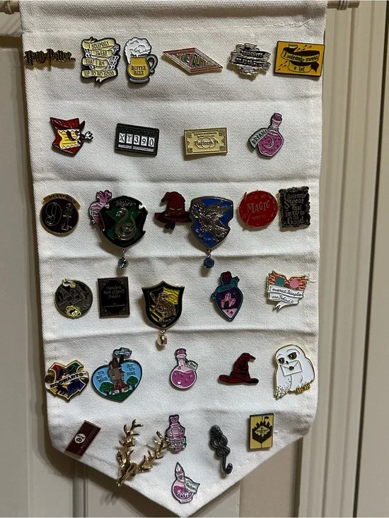 Entire Harry Potter pin brooch collection. 33 total.