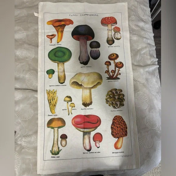 Urban outfitters mushroom tapestry