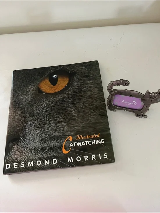 Cat Watching by D. Morris and pewter look cat shaped picture frame.