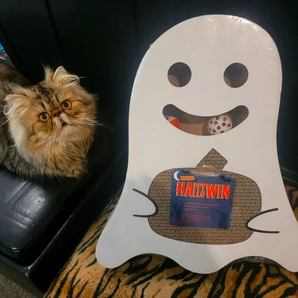 Halloween Ghost Cardbord Cat Scratcher w Balls Catnip New