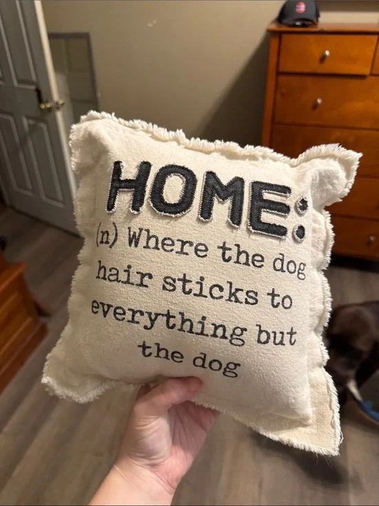 Decorative Throw Pillow