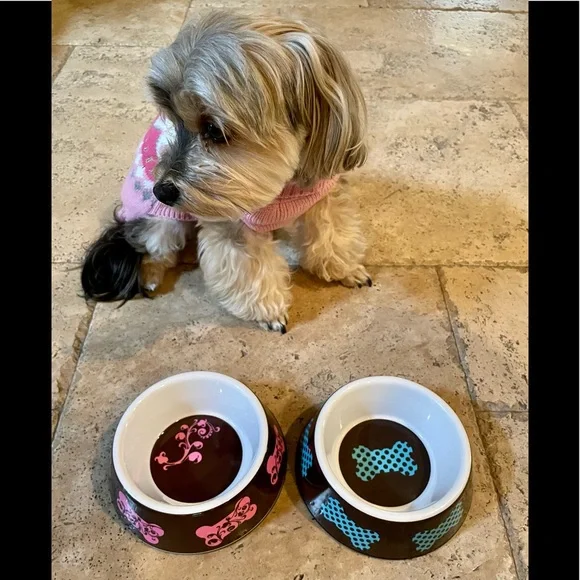COPY - Top Paw 🐾 Boutique Pet Bowls 🐶 Pink/Brn Turquoise/Brn w/Center Decals. (…