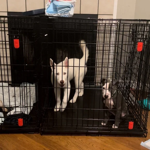 KONG XL DOG KENNEL